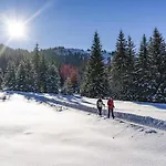 Prázdninový dům Wildschoenau- Cozy Alpine