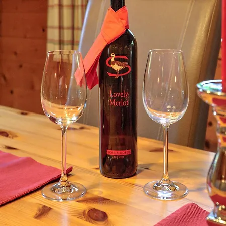 Wildschoenau- Cozy Alpine * Niederau