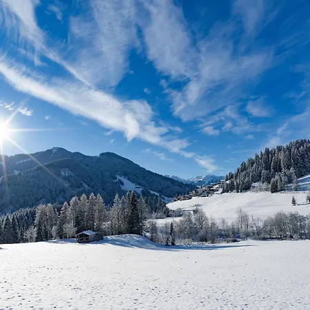 Wildschoenau- Cozy Alpine *