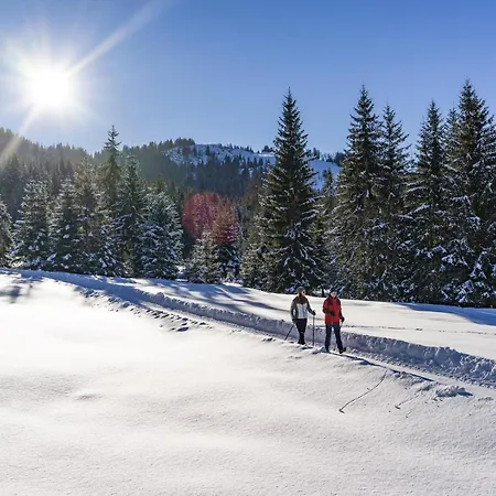 Semesterbostad Wildschoenau- Cozy Alpine