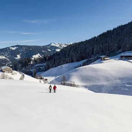 Wildschoenau- Cozy Alpine